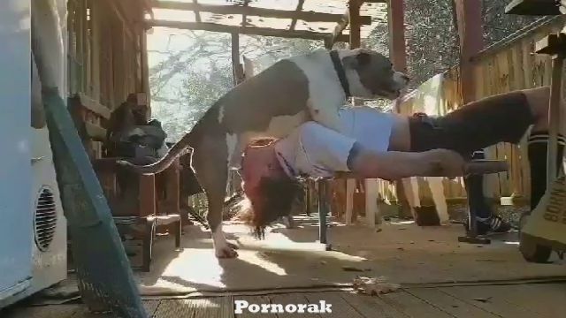 Большая собака трахает парня хозяина в рот, зоосекс