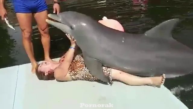Дельфин трахает женщину в аквапарке, реальное смешное видео зоо секса